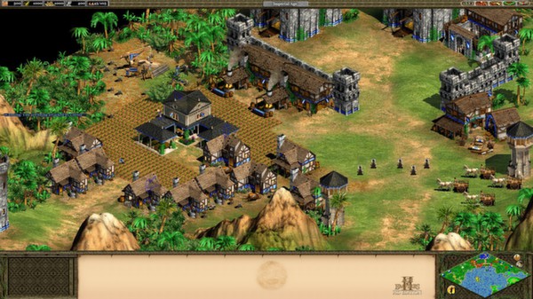 Age Of Empires II Screenshot